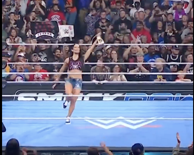 aj lee after wwe smackdown